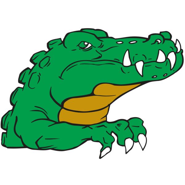 AR GATOR 22 RQC Thumbnail