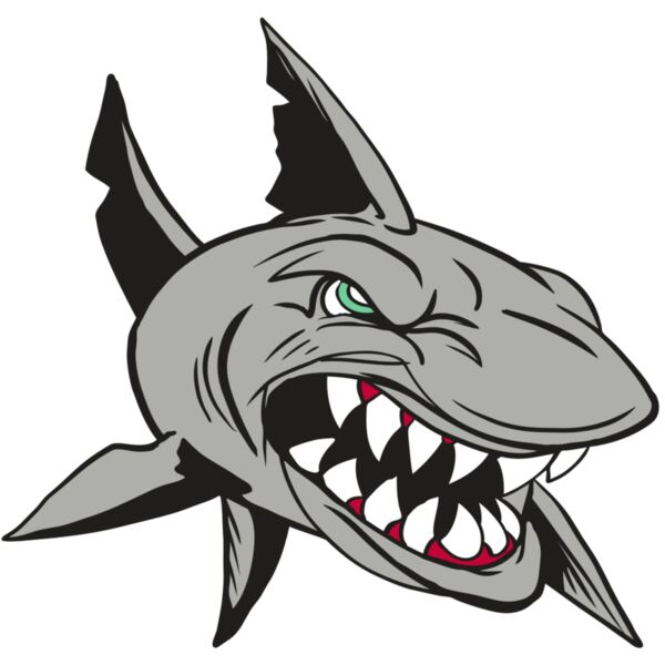 AR4 SHARK 01 RQC Thumbnail